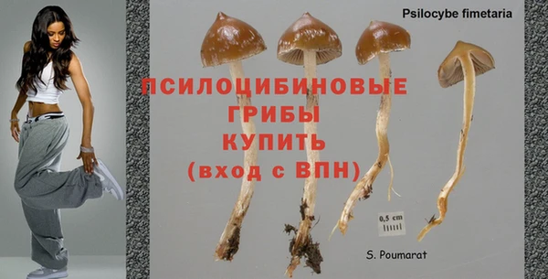 соль ск Чекалин