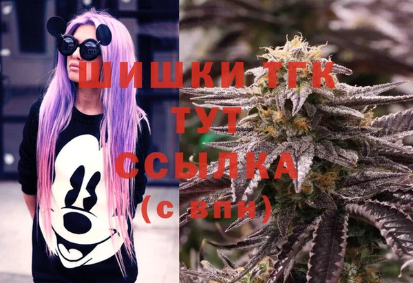 кокс Инсар