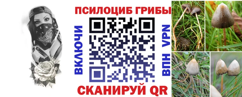 МЕГА ONION  Отрадная  Псилоцибиновые грибы Psilocybe 